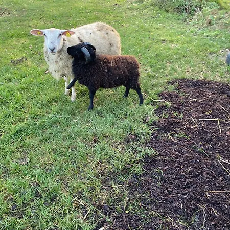 L'orne בית נופש