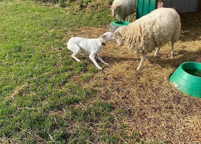 度假居 L'orne 凯恩